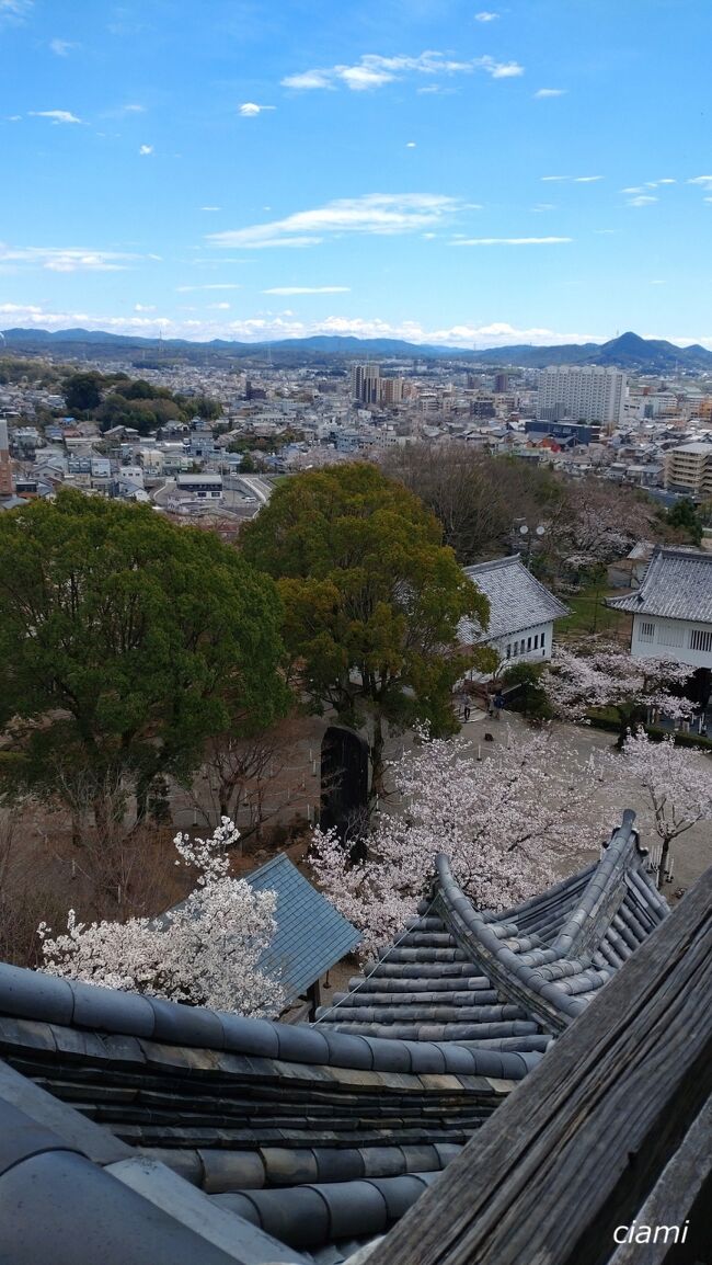 昨日は、大雨強風だったから。