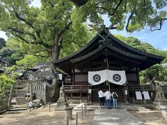 塞神社の楠木が神社を覆っていました。