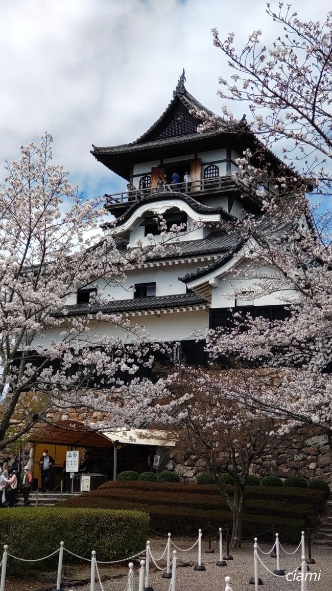 とっても楽しかった。