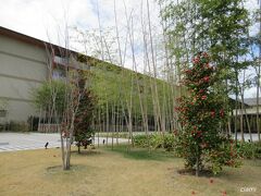 お茶でもしようかと思ったら、カフェはやってないって。