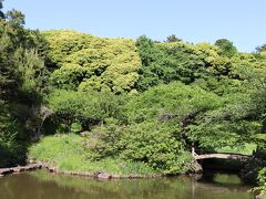 小石川植物園
日本庭園