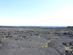海岸沿いに広大な溶岩大地が広がっています。