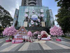 3日目。日本フェア的なので高島屋前で桜の装飾。