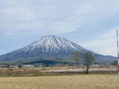 蝦夷富士とも呼ばれる羊蹄山が今日ははっきり見えます。