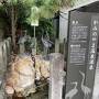 かみのやま温泉ワーケーションと山形、蔵王、米沢観光