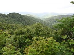 【赤土山展望台】11:55

県道沿いにある赤土山展望台です。
原生林がみえる展望台です。