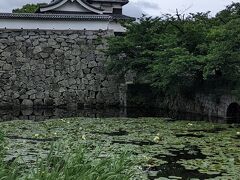 舞鶴公園 (福岡城跡)