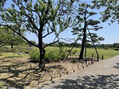 日本三大名園のひとつ「偕楽園」。
約13haもある広い園内。
入場料は大人300円。（水戸漫遊1日フリー切符があれば230円で入場できます）