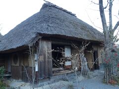 　草庵の横に回ると投句用の箱。思いついた俳句を短冊に記入し投函すると、秀句なら季刊誌に掲載されるそうです。