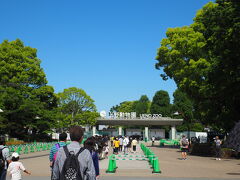 上野動物園の方を見ると、なんとこの日は無料で入園できるみたいです！