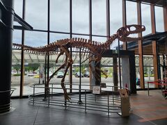早速恐竜（の骨）がお出迎えです。


