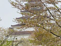 会津若松の鶴ヶ城。かなり散っていました。