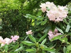 長谷寺