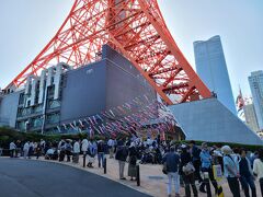 東京タワーでは、その高さ333ｍにちなんだ333匹の鯉のぼりが元気よく泳いでいました。