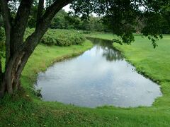 牧草地に囲まれた池は水源の湧水池なのか？　絵になる風景。