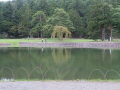 【毛越寺の浄土庭園】

大泉が池の周りを散策

