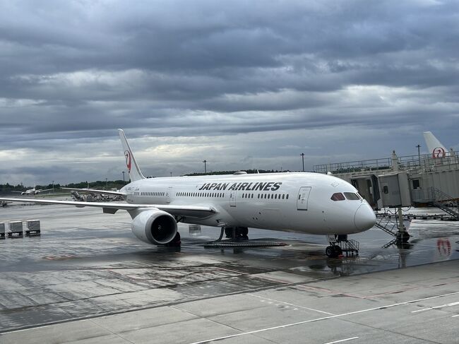 ハノイを夜中に出て成田には早朝に到着。<br />家に帰って洗濯しよーっと。