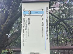 知らずして目黒区役所推奨の散歩道を散歩していた模様。