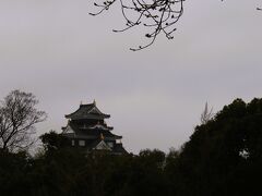 岡山城と桜
大雨のため車窓