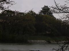岡山城と旭川と桜