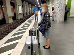 ▽フランクフルト中央駅

スーツケースを引いている人たちについて行けば空港駅まで行けると思っていたら、意外にスーツケースを引いている人がいない。
国際都市のはずなのに不思議なぐらい英語の案内板がない。