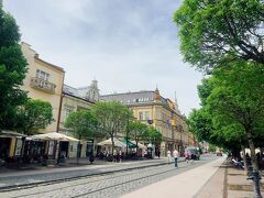 コシツェの旧市街の真ん中を走る、メインのフラヴナー通り。　

昔はトラムも走ってたようで、線路がまだ残っています。　