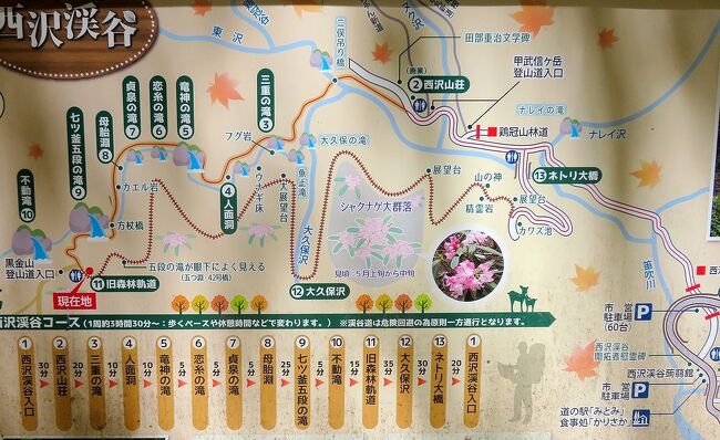 団塊夫婦の春の花散歩・2024-新緑の西沢渓谷をトレッキング 団塊夫婦の春の花散歩・2024-新緑の西沢渓谷をトレッキング