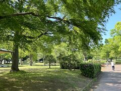 カフェと迷ってラーメン屋、さんを出て、霞ヶ浦総合公園へ向かいます。
新緑が気持ち良い。