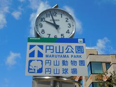 ホテルをチェックアウトして円山公園に行きます。

妻は円山動物園へ、私は円山公園でさくらの写真を撮ります。

