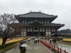 大仏様にご挨拶しましょう。