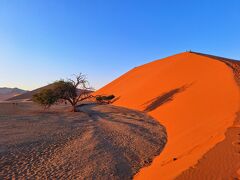 今回の旅行先は南部アフリカ５か国。その中でも、特に情報のなかったナミビア、それが最初の国です。パンフレットにはこの写真のような赤く染まる砂丘の写真が使われていました。