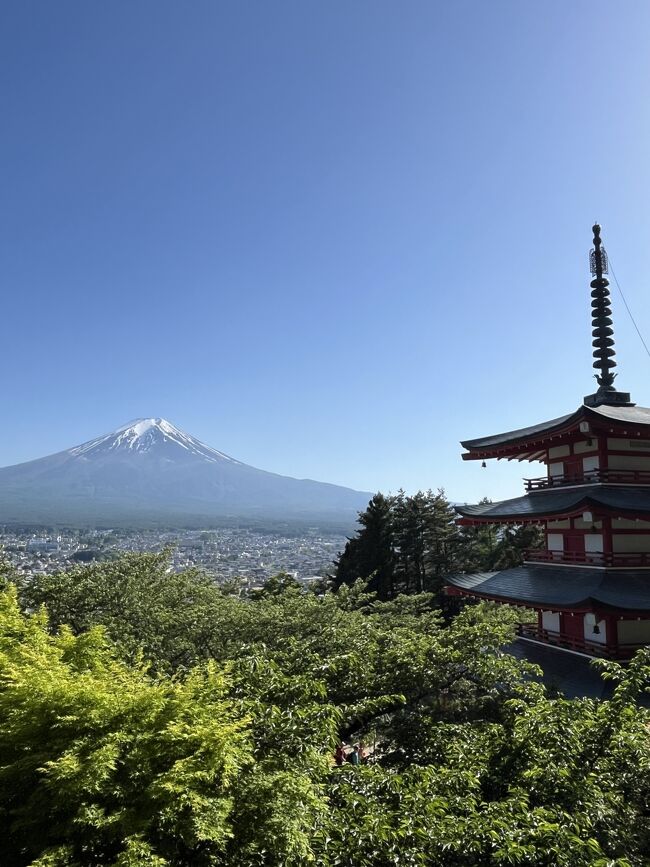 HISバスツアー 春の山梨二大名所へ！富士山の眺望日本一「新倉
