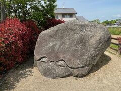 亀石です、多くの謎を持つ亀の巨岩です
