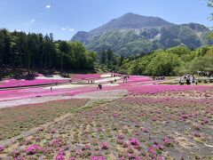 中央口からゲートをくぐると、目の前に武甲山をバックにした芝桜のベストショット