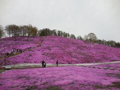藻琴山温泉 芝桜公園