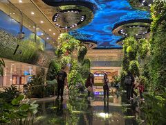 シンガポール空港に到着