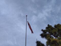 海の公園で鯉のぼりが天空の泳ぎを披露。
風が定常的一様に吹くのではないので，タイミング良く撮影するのはなかなか難。