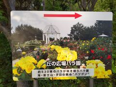 さて本日の主目的地「丘の広場バラ園」への案内板。
バラは横浜市の花であり，京成バラ園や各地のフラワーパークなど他県の名園まで労力と時間を費やして遠征しなくても，市内の山下公園や港の見える丘公園などに，大規模ではないもののなかなか豪華なバラ園がある。
八景島にも小規模ながら整備された「丘の広場バラ園」があり，気楽に楽しめて良い。今年でまだ9回目だが，5月中旬の最盛期にはバラフェスタが開催される。
バラを県の花とする茨城県の広大なフラワーパークには，レストランやカフェに加えて，宿泊施設や体験施設が増設し，友部の酒蔵なども含めて機会があれば再来したかったが，わがすみかの手入れなどの家事都合，連休前の首都高速道路湾岸線の痛ましい交通事故，連休中盤の宿の予約，終盤の大事な行事，控えた検診，冴えない体調のためやむなく延期した。コロナ禍対策が長引きすっかり人混み嫌いが増し出不精になってしまったようだ。