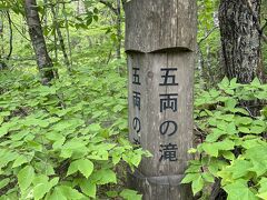 奥入瀬遊歩道