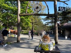 那須高原 南ヶ丘牧場