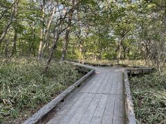 つつじ吊橋