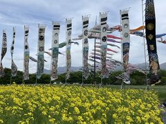 那須ハートフルファームお花畑