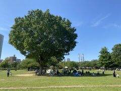 その後木場公園にやって来ました。
とても広い広場があり、たくさんの人が遊んだり、ブルーシートを敷いて休んでいました。