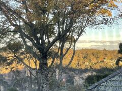 おはようございます。
ブルーマウンテンズ2日目の朝です。

朝から良い天気。
