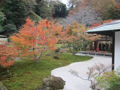 長寿寺紅葉　長寿寺の書院、紅葉、石砂、石、苔が配された庭園です。書院から眺めると落ち着きます