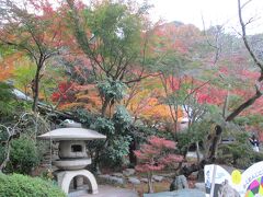 覚園寺紅葉　山内では最盛期の紅葉を見ることが出来ました