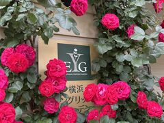 横浜イングリッシュガーデンの満開のバラを1時間強満喫した後、ランチをするため関内へ移動。