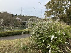 池に架かった橋を、続々と人が渡る姿が見えています