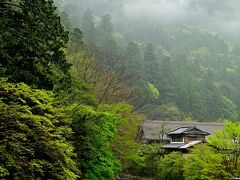 　この日は、雨。太鼓橋の上から。森厳とした雰囲気が漂う