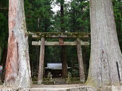 　この時は代替ルートとしてやまなみロードから室生トンネルを抜けるルートを使った。まずは室生龍穴神社へ。杉の巨木に囲まれた神社だ